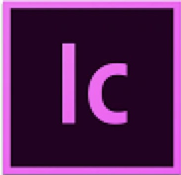 Adobe InCopy 2020 v15.0.1 for mac中文版