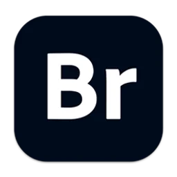 Adobe Bridge 2024 for Mac v14.1 Br中文原生破解一键安装版下载