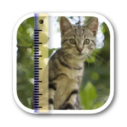 SizeMyPics for Mac v1.8.1 图片批量转换格式修改尺寸工具