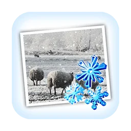 JixiPix Snow Daze for Mac v1.32 给照片添加雪景特效